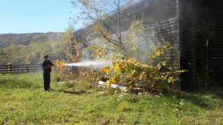 ねずみ昆虫等防除